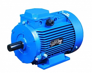 Электродвигатель АДМ 80 В6 (1.1 кВт 1000 об/мин)