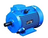Электродвигатель АДМ 180 M8 (15 кВт 750 об/мин)